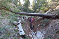 02-up_drainage_with_lots_of_new_erosion_compared_to_prior_seasons