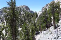 44-follow_cairn_to_lower_right,then_down_staying_close_to_wall,then_up_to_Chin-takes_about_30_min