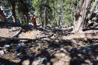 50-Ed_leading_the_way_down_steep_slope