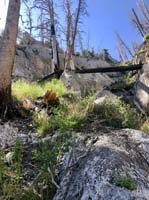 09-pretty_scenery_along_the_way-from_Laszlo