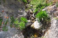 29-natural_spring