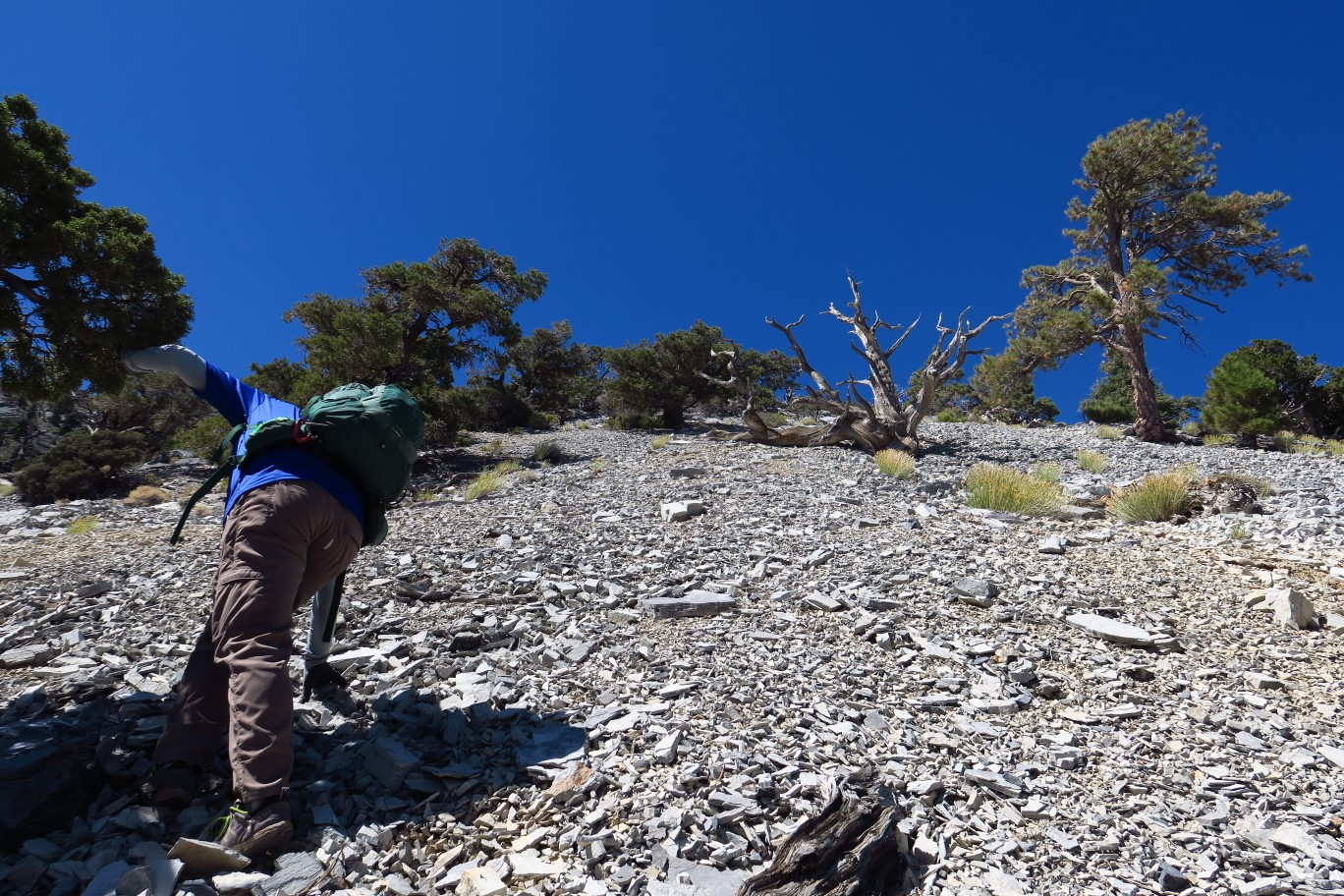 14-ascending_talus_slope