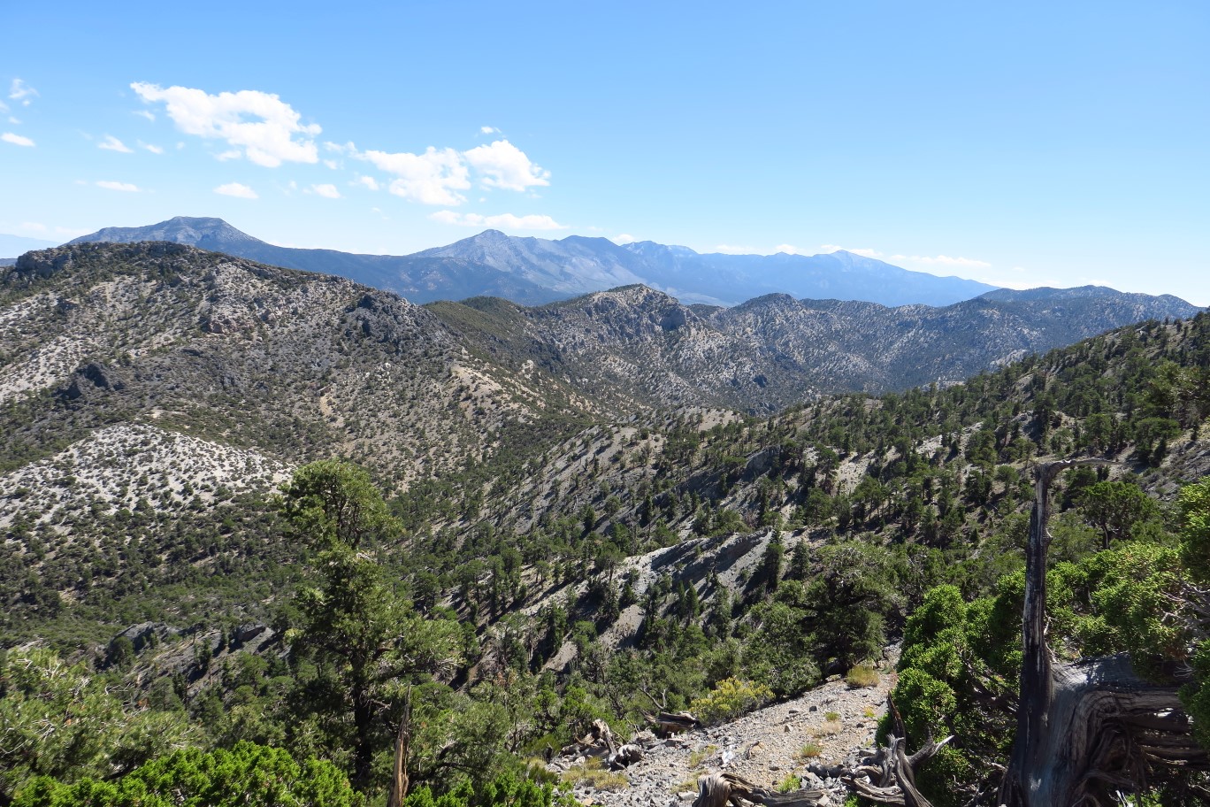 18-scenic_view_from_ridgeline-looking_E
