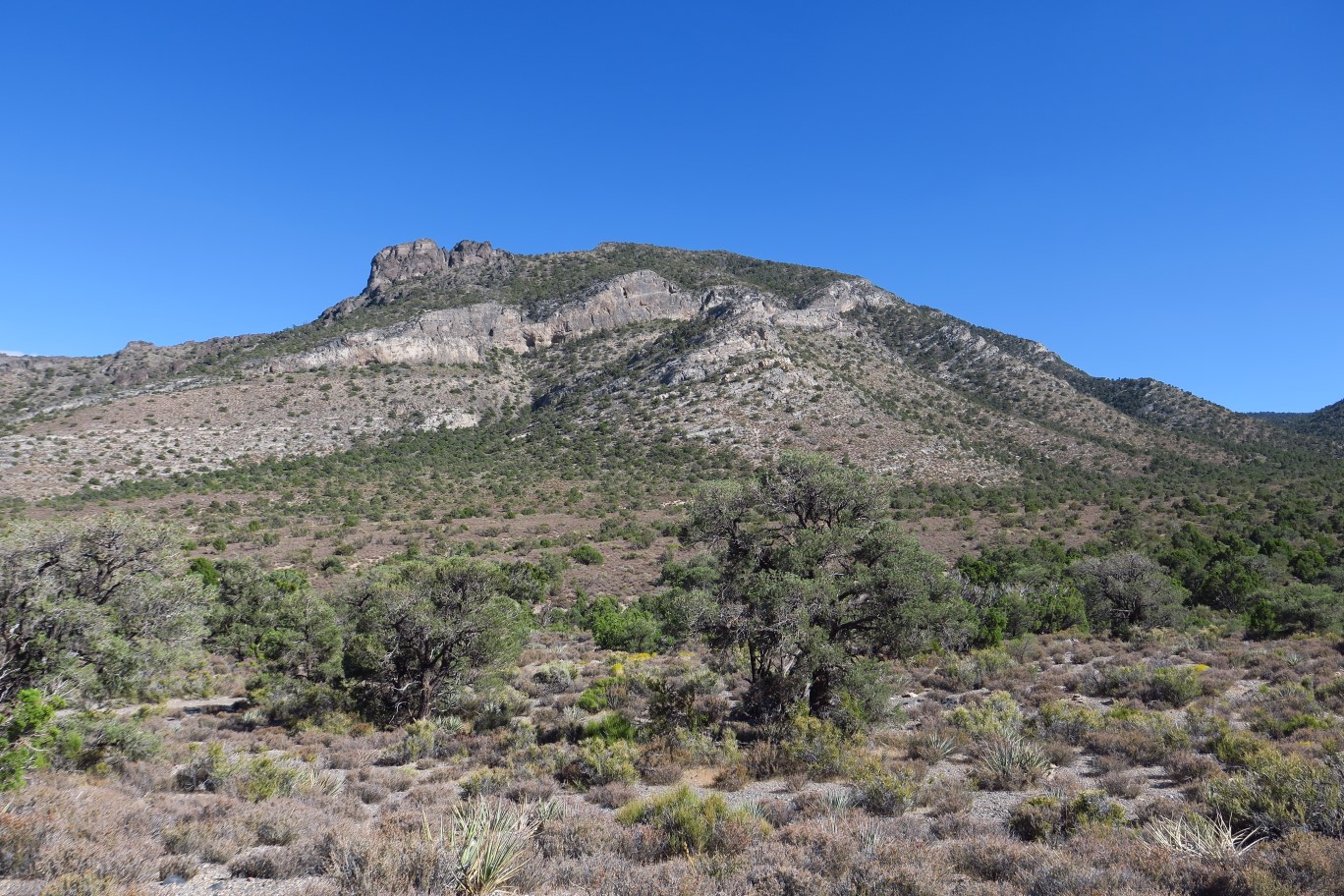 37-almost_to_car-ChLasEd_Peak