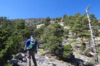 13-Kevin_leading_the_way-temps_are_a_bit_warmer_than_expected