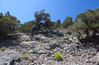 15-continuing_up,quite_steep,almost_to_ridgeline,taking_a_lot_longer_than_expected