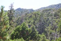 33-looking_back_to_route_we_descended_from_peak