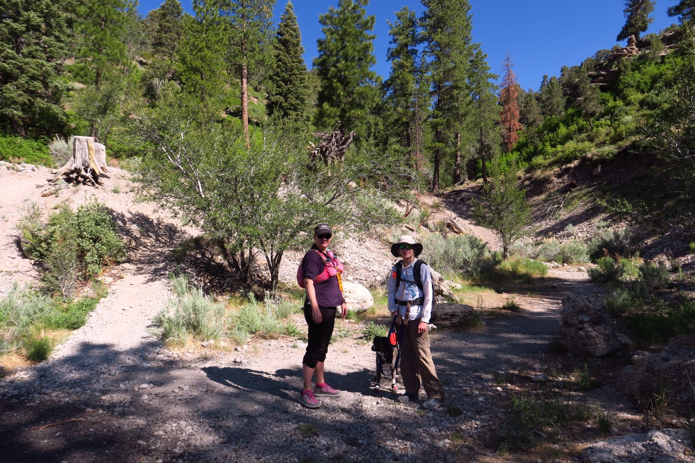 01-family_at_trailhead-nice_day_for_a_hike