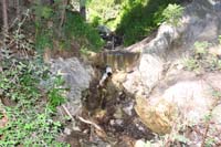 35-Stanley_B._Spring_with_old_irrigation_system