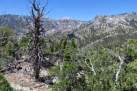 12-view_from_summit_area_of_Mt_Charleston_and_Cockscomb_Peak