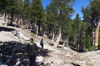 23-continuing_along_the_trail_to_Mummy_Springs