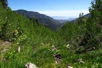 18-view_looking_down_drainage-USGS_end_of_dirt_road_only_130_feet_to_right,but_overgrown