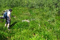 19-Brett_amongst_the_wildflowers,beautiful_area-lots_of_aspens