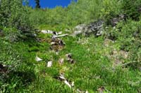 23-natural_spring_viewed_from_further_away