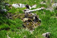 24-closer_view_of_natural_spring