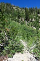 26-end_of_the_dirt_road_according_to_old_USGS_maps-natural_spring_130'_that_way