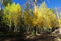 08-lots_of_fall_colors_to_enjoy_along_the_trail