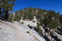 12-trail_peters_out_at_saddle,but_returns_less_prominently_while_following_ridge_to_a_peak