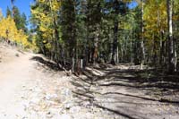 44-Bristlecone-Ski_resort_junction-new_connector_trail-heading_towards_ski_resort