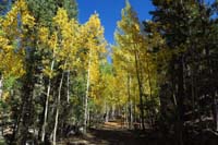 45-more_pretty_fall_colors