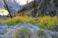 65-colorful_aspens_along_trail