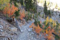 67-colorful_aspens_along_trail