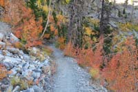 70-colorful_aspens_along_trail