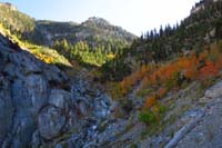 80-pretty_scenery_and_colorful_aspens_along_trail