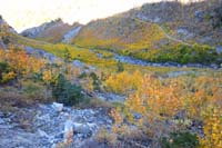 81-colorful_aspens_along_trail