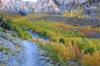 83-colorful_aspens_along_trail