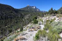 06-heading_down_slope_into_canyon_after_crossing_Lee_Canyon_Road,then_left-Mummy_Nose,and_Forehead_visible