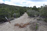 12-Rocky_Reassure_M-looking_back_to_trail_we_came_up-no_motor_vehicle_sign,but_fresh_tracks