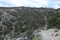18-descending_into_the_drainage_portion_of_the_trail_hike