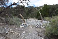 20-interesting_new_posts_and_cairns_to_note_the_trail_through_the_wash