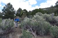 22-looking_back_at_Jim_passing_through_the_tall_stand_of_sage