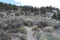 27-leaving_the_drainage_through_another_stand_of_sage