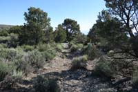 03-most_of_the_trail_looks_like_a_small_drainage
