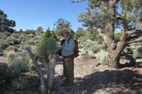 04-Jim_checking_out_a_Joshua_Tree_at_6,500_feet_elevation,not_typical_since_now_migrating_higher