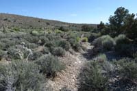 08-trail_has_changed_a_little_bit_due_to_rains_over_the_past_few_years,continues_up_slope