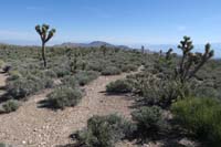 14-continuing_along_the_partially_discernible_trail_with_desert_landscape_in_distance