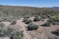 17-one_wonders_if_gully_is_trail,actually_just_to_right_heading_downhill