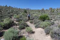 18-looking_back_at_Jim_on_the_trail