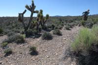 20-Rocky-reassure_E_area-added_cairns,scuffed_trail_to_make_trail_discernible