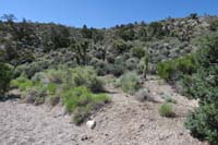 24-looking_back_at_Jim_descending_slope_towards_drainage-prior_cairn_gone