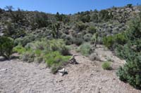 25-reestablished_cairn_to_make_trail_turn_discernible