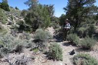 33-Rocky-reassure_D_area-looking_back_to_cairn_created_to_show_trail_leaves_drainage