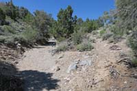 35-trail_meanders_in_and_out_of_drainage