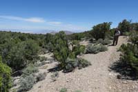 41-looking_back_at_Jim_on_the_trail_with_desert_scenery_in_distance