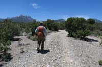 43-Jim_leading_the_way_down_dirt_road_shortcut_back_towards_vehicle