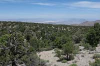 44-looking_back_to_desert_scenery_in_distance